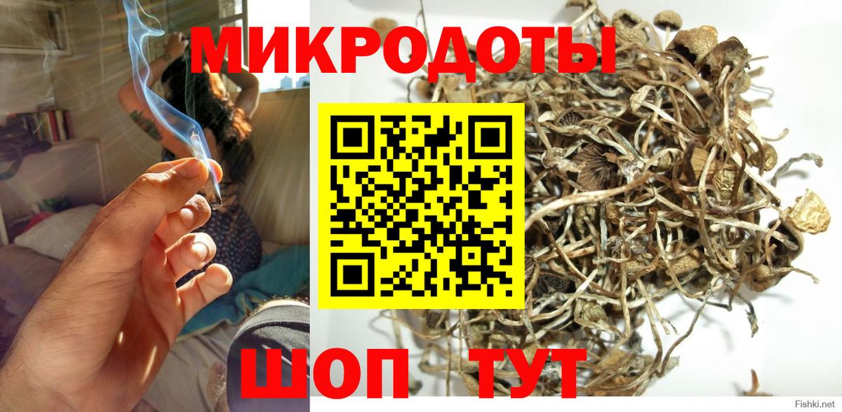 Псилоцибиновые грибы Magic Shrooms Саратов